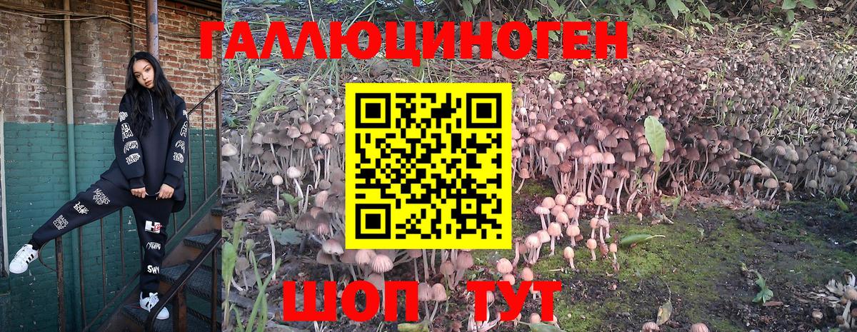 Асино  Галлюциногенные грибы ЛСД  Вход с VPN 